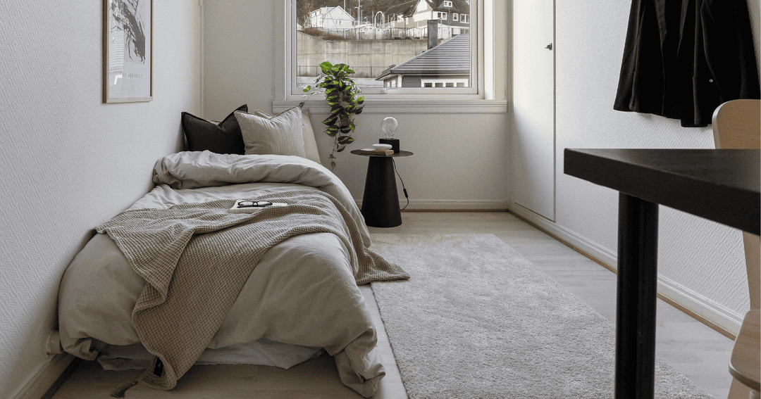 Dorm Room Essentials Students Actually Need: A Real College Move-In Checklist Based on Student Experiences