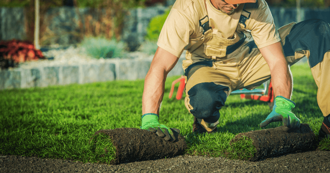 2026 Backyard Landscaping Ideas: The Ultimate Guide to Transforming Your Outdoor Space