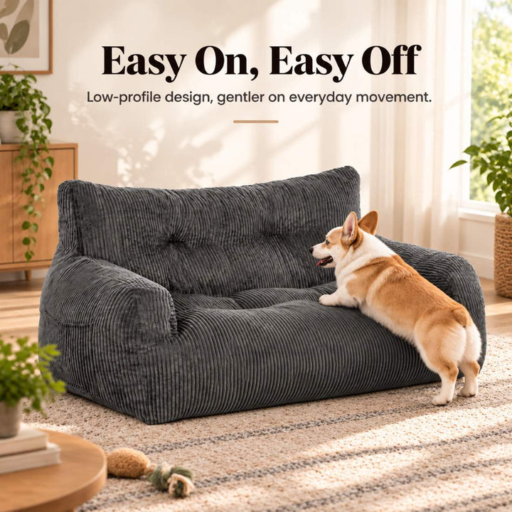 Pamapic Pro Bean Bag Sofa for You & Your Dog, Cozy Low-Profile Cuddle Lounge