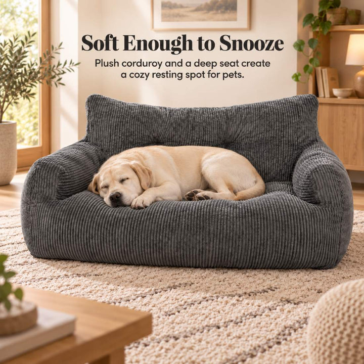 Pamapic Pro Bean Bag Sofa for You & Your Dog, Cozy Low-Profile Cuddle Lounge