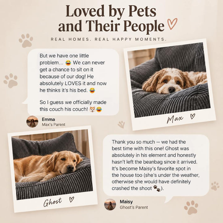 Pamapic Pro Bean Bag Sofa for You & Your Dog, Cozy Low-Profile Cuddle Lounge